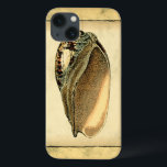 Rustische  Seashell Case-Mate iPhone Case<br><div class="desc">Dit kunstwerk van Vision Studio legt een aantal van de beste zeeen van het leven in de oceaan vast. Haal dit nette stuk kunstwerk van deze schelp van de Conch. Neem de oceaan mee,  overal waar je gaat.</div>