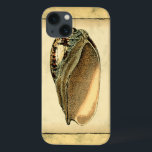 Rustische  Seashell Case-Mate iPhone Case<br><div class="desc">Dit kunstwerk van Vision Studio legt een aantal van de beste zeeen van het leven in de oceaan vast. Haal dit nette stuk kunstwerk van deze schelp van de Conch. Neem de oceaan mee,  overal waar je gaat.</div>