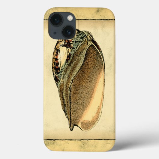 Rustische  Seashell Case-Mate iPhone Case (Achterkant)