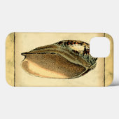 Rustische  Seashell Case-Mate iPhone Case (Achterkant (horizontaal))
