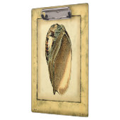 Rustische  Seashell Klembord (Links)