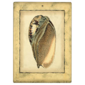 Rustische  Seashell Klembord (Achterkant)