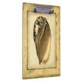 Rustische  Seashell Klembord (Rechts)