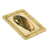 Rustische  Seashell Magneet (Rechterzijde)