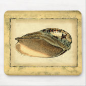 Rustische  Seashell Muismat (Voorkant)