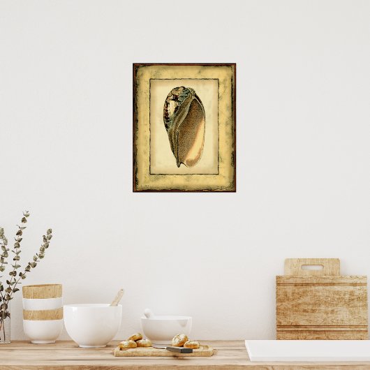 Rustische Seashell Poster (Keuken)