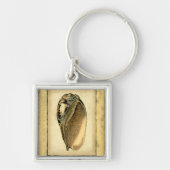 Rustische Seashell Sleutelhanger (Voorkant)