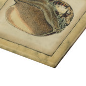 Rustische  Seashell Snijplank (Hoek)