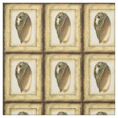 Rustische  Seashell Stof (Swatch)