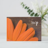 Rustische Sinaasappel Daisy Barn Wood Wedding RSVP (Staand voorkant)