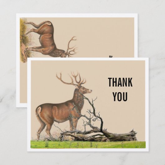 Rustische Stag Deer Hartelijk dank (Voorkant / Achterkant)