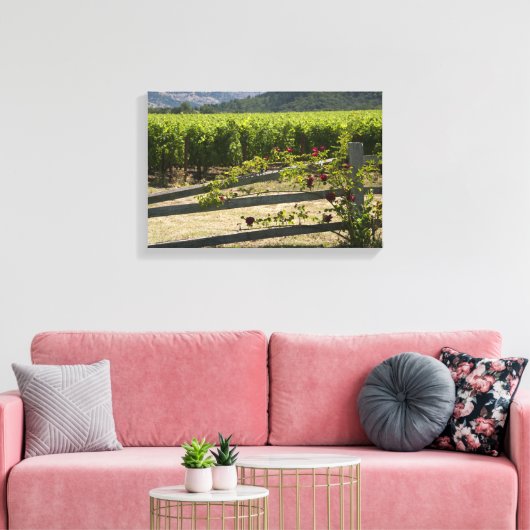 Rustische wijngaarden en Rozen omheining Canvas Afdruk (Insitu (Woonkamer))
