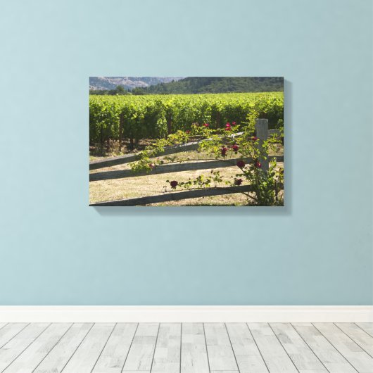 Rustische wijngaarden en Rozen omheining Canvas Afdruk (Insitu (Houten vloer))