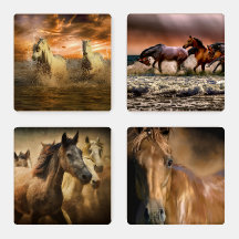 Rustische wilde paarden in de Natuur