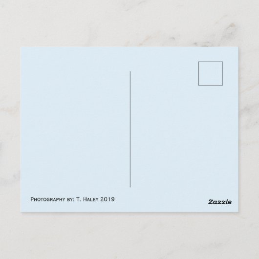 Ruston Tacoma Boat Briefkaart (Achterkant)