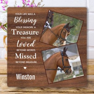 Rustoord Paard Herdenkingsfoto Fotoplaat