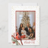 Rustoord Waterverf Winter Kardinaal Hulsttak Feestdagenkaart (Voorkant)