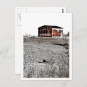 Rusty barn briefkaart (Voorkant / Achterkant)