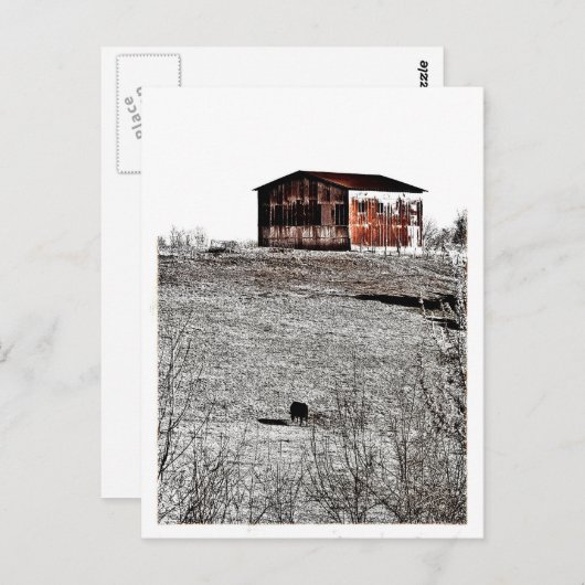 Rusty barn briefkaart (Voorkant / Achterkant)