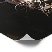 Rusty Bicycle Poster (Hoek)