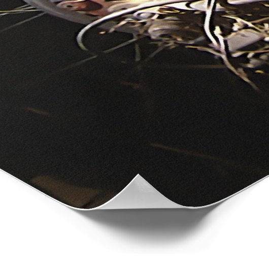 Rusty Bicycle Poster (Hoek)