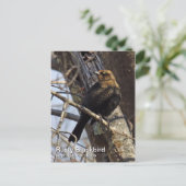 Rusty Blackbird Briefkaart (Staand voorkant)