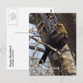 Rusty Blackbird Briefkaart (Voorkant / Achterkant)