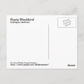 Rusty Blackbird Briefkaart (Achterkant)