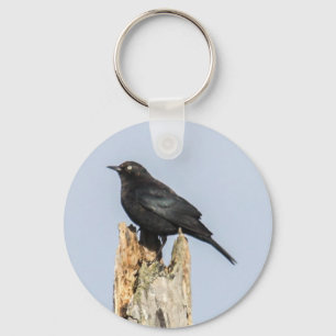 Rusty Blackbird Sleutelhanger