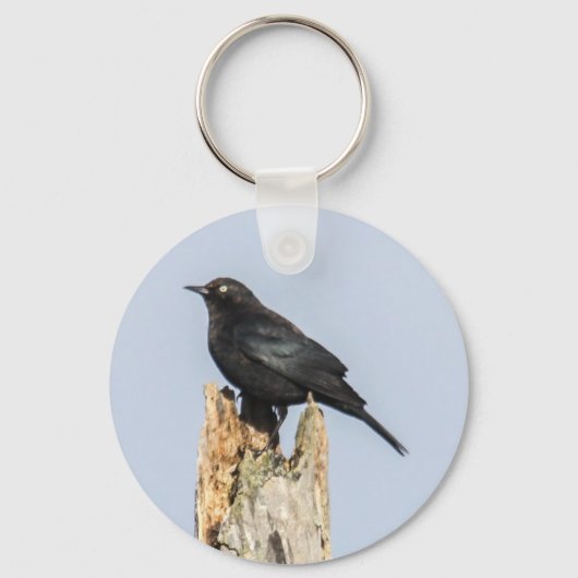 Rusty Blackbird Sleutelhanger (Voorkant)