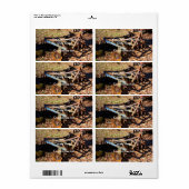 Rusty Boerderij Field Equipment Etiket (Full Sheet)