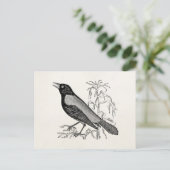 Rusty Crow Blackbird Bird - Retro Birds Briefkaart (Staand voorkant)