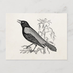 Rusty Crow Blackbird Bird - Retro Birds Briefkaart