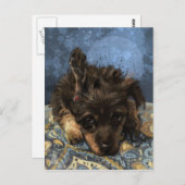 Rusty de Poedel Briefkaart (Voorkant / Achterkant)