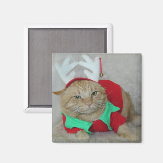 Rusty de Rendier Elf Magneet (Voorkant / Achterkant)