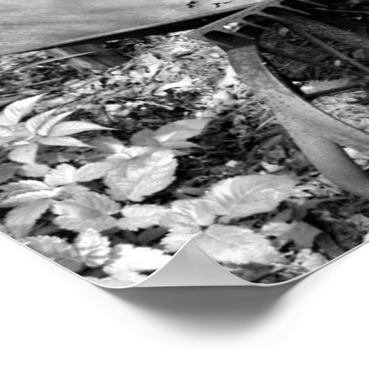 Rusty Garden Tools zwart-wit afdrukken Poster (Hoek)