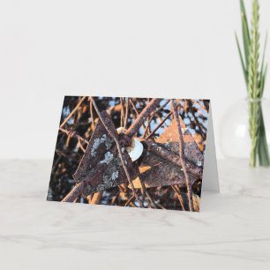 Rusty Junk Pile, geboortedag Kaart