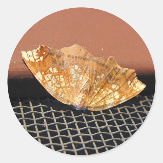 Rusty Moth ~ sticker (Voorkant)