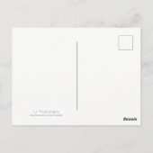 Rusty Old Antiek-gaspomp Briefkaart (Achterkant)