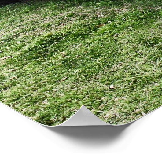 Rusty Old Automobile Poster (Hoek)