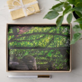 Rusty Old Car  20x30-decoupage Tissuepapier (Geschenk)