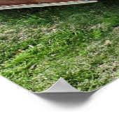 Rusty Old Classic Car  Automobile Poster (Hoek)