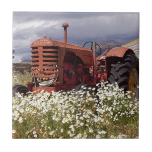 RuSTY OUDE TRaCTOR Tegeltje