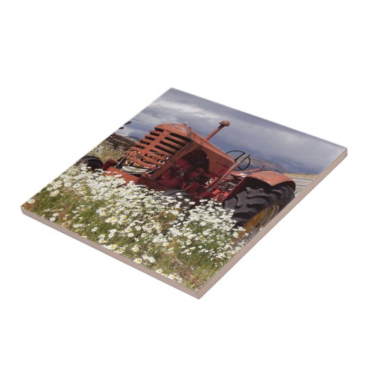 RuSTY OUDE TRaCTOR Tegeltje (Zijkant)