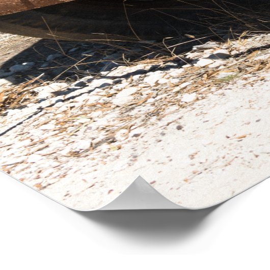 Rusty oude vrachtwagen poster (Hoek)