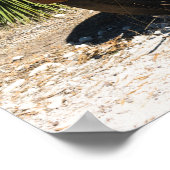 Rusty oude vrachtwagen verlaten in Australië buite Poster (Hoek)