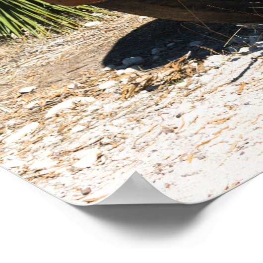 Rusty oude vrachtwagen verlaten in Australië buite Poster (Hoek)