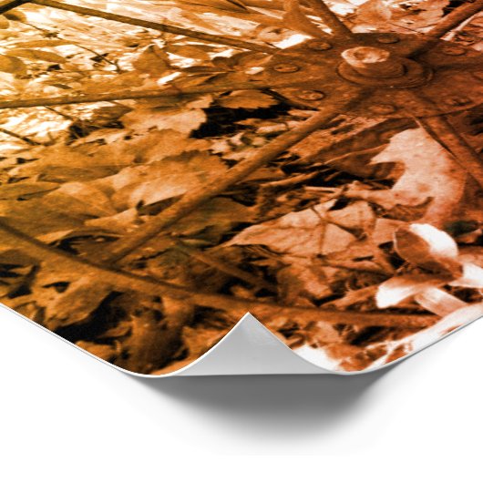 Rusty Pump Wheel Garden Black en White  Poster (Hoek)