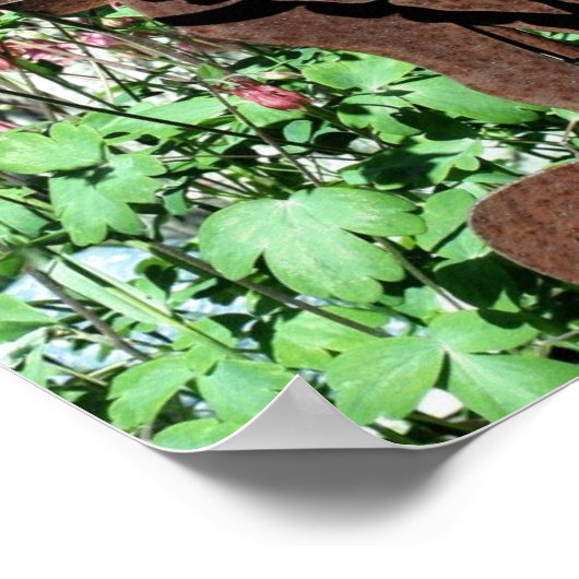 Rusty Rabbit Columbine Flower Garden Poster (Hoek)