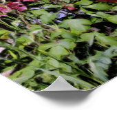 Rusty Rabbit Flower Garden Oil Photo Painting Poster (Hoek)